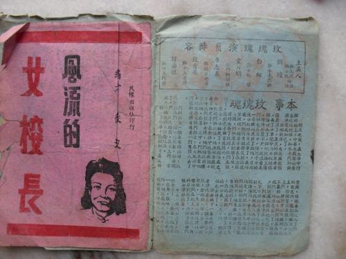 茨维考西萨克森应用技术大学Accounting Diploma